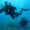Animated pictures